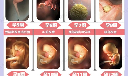 dpdp气垫有假货吗-dhv气垫正品跟假货区别网—知名的dv气垫是杂牌子还是名牌网站,分享dpdp气垫有假货吗知识